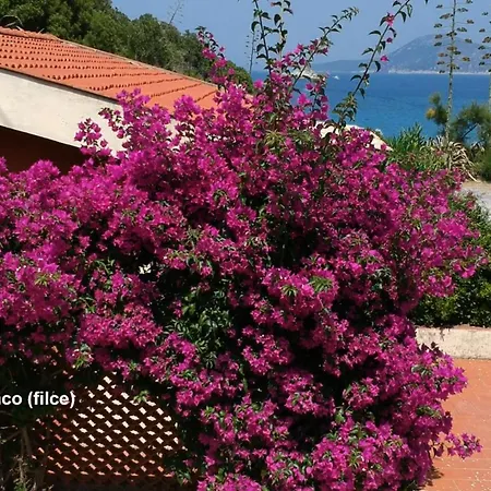 Lejlighedshotel Capobianco