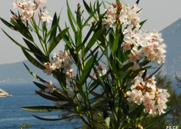 Апарт-отель Capobianco