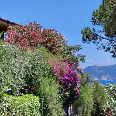 Capobianco 3*